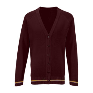 St Edwards Primary School Cardigan