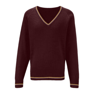 St Edwards Primary School Jumper