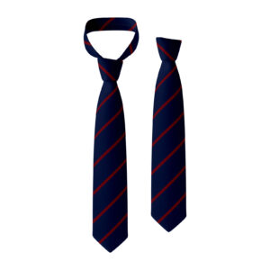 St Theresa's RC Primary School Tie