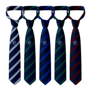 Waterhead Academy Tie