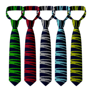 Oasis Academy Leesbrook Tie
